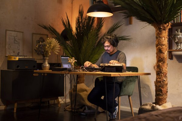 künstliche Palme Areca XXL kaufen